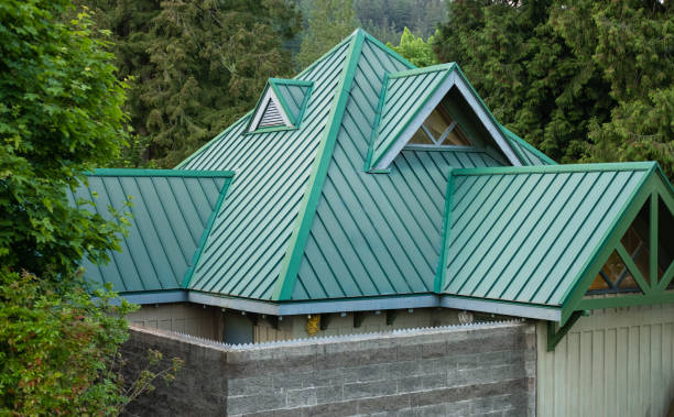 Best Sheet Metal Roofing  in Lford, MI