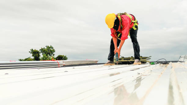 Best Solar Panel Roofing Installation  in Lford, MI