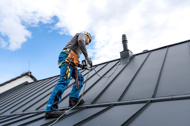 Best Rubber Roofing (EPDM, TPO)  in Lford, MI